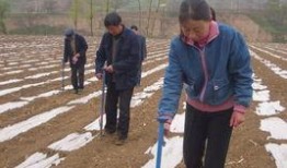 陇县新闻爆料网最新消息