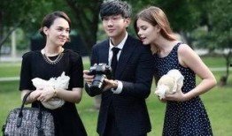 消失爱人手机在线观看,手机线索背后的情感谜案